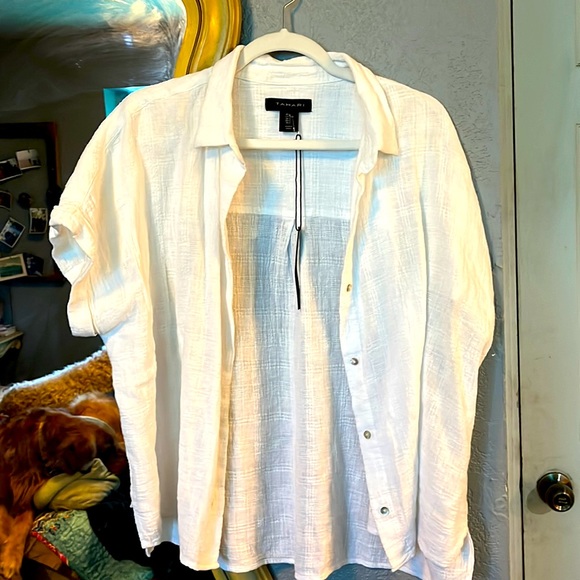 Elle Tahari Brown And White Sheer Button Up Short Sleeve Blouse Size Small